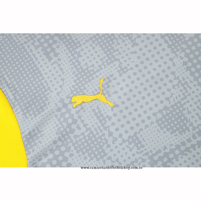 Camiseta de Entrenamiento Borussia Dortmund 25-26 Gris